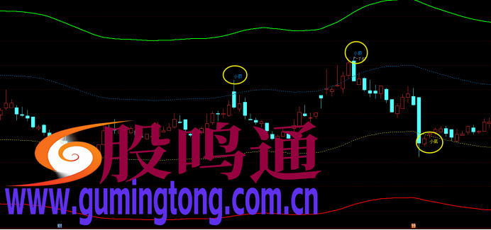 截图202503120855334826.png