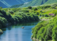 《创翼龙》指标系列